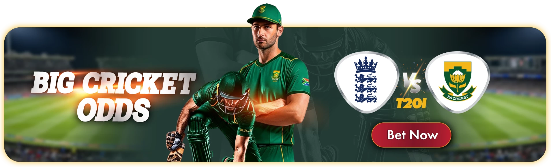 2242-sa-and-ls-england-vs-south-africa-web-banner-17576006610708.png