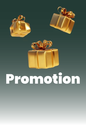 2484-sa-promotion-tile-17931921801992.png