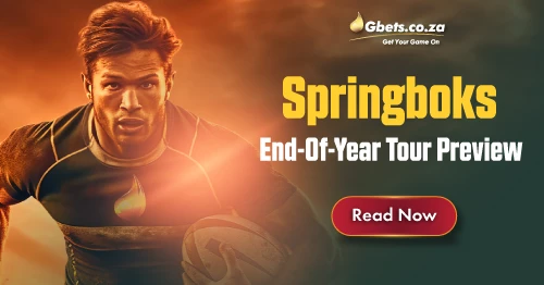 Springboks 2024 end-of-year tour preview